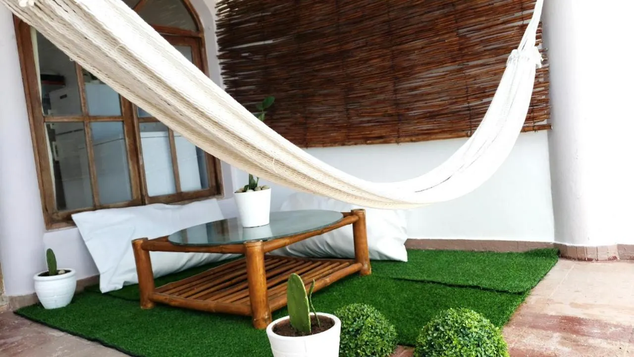 Best Ocean View 1 Bedroom Long Term Opportunity Las Flores Apartment